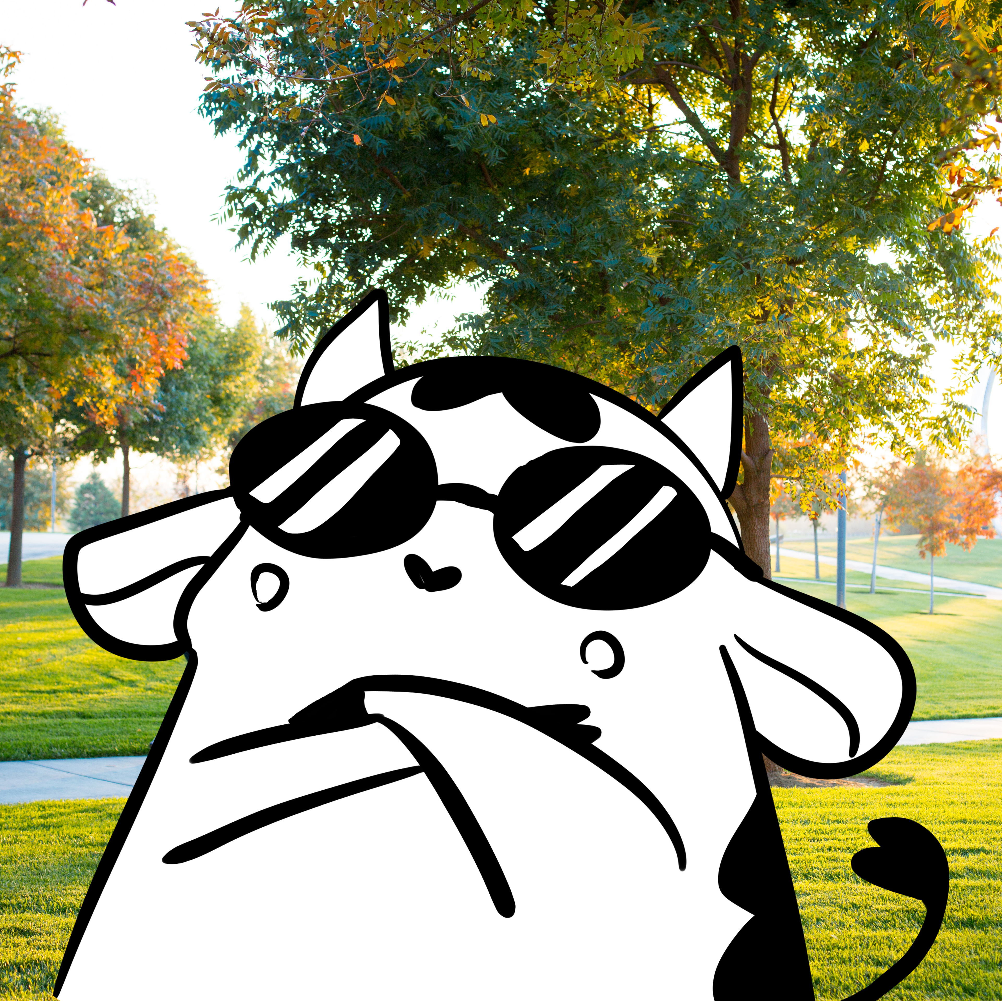 portrait of Doris the Cow